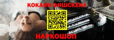 крисы Моздок