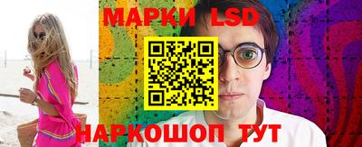 крисы Моздок