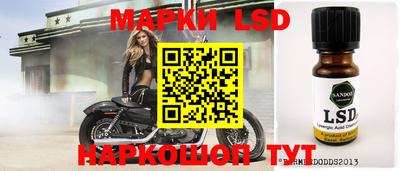 крисы Моздок