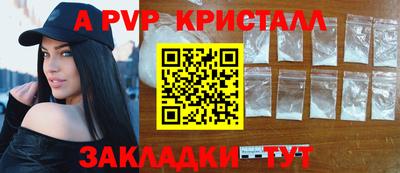 крисы Моздок