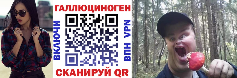 мега   Чистополь  Галлюциногенные грибы GOLDEN TEACHER  цена  