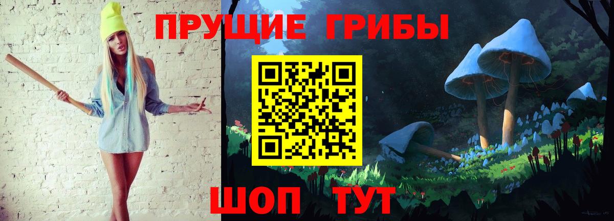 Галлюциногенные грибы Psilocybine cubensis  Вход с VPN  Псилоцибиновые грибы мицелий  Чистополь 
